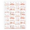 Countryside Shelves Vellum